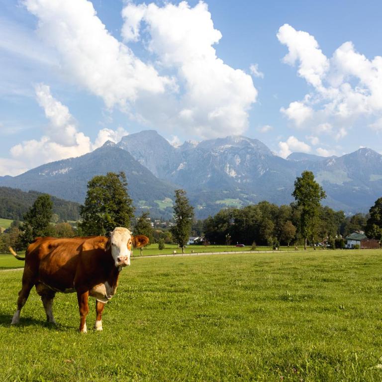 Ferienwohnung Hirnsberglehen - Apartment mit Blick auf die Berge - 30