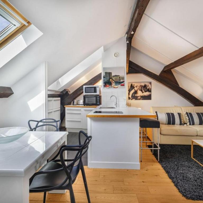 Marais Rooftop Apartment - Appartement 1 Chambre - 6