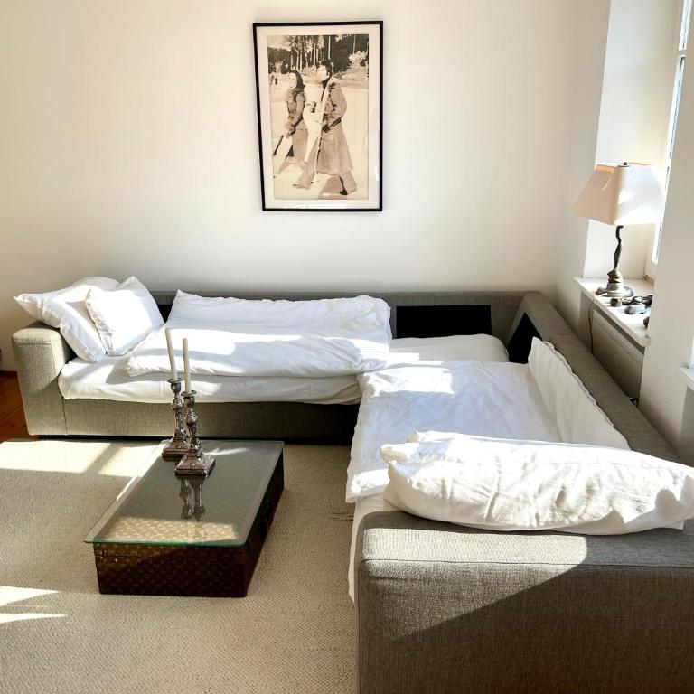 New furnished, exclusive large flat in City Center, 30min to Airport - Two-Bedroom Apartment - 18