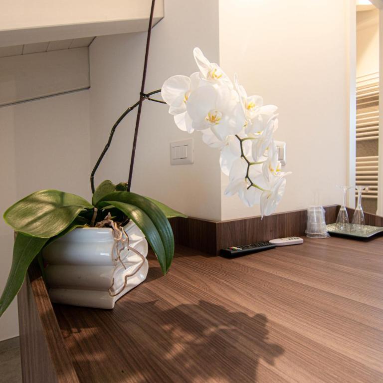 Profumi di Primavera Luxury Rooms & Suite - Camera Matrimoniale - 3