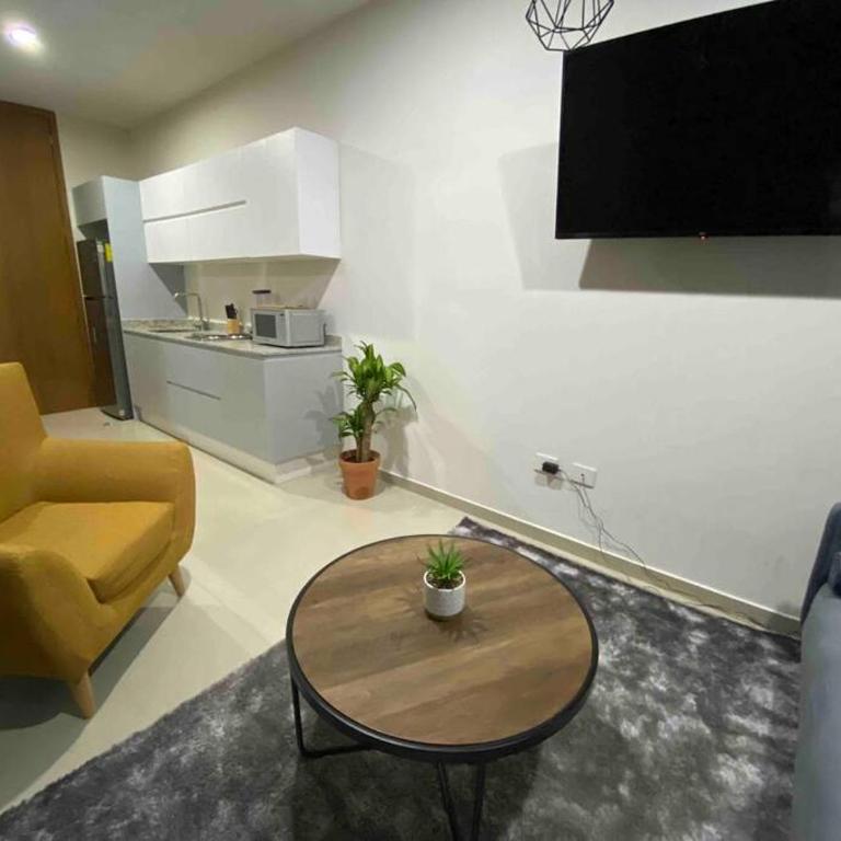 Impecable loft, terraza, alberca, cerca de playa - One-Bedroom Apartment - 5