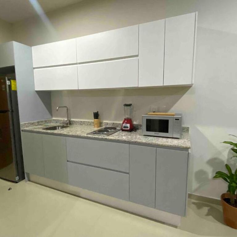 Impecable loft, terraza, alberca, cerca de playa - One-Bedroom Apartment - 10
