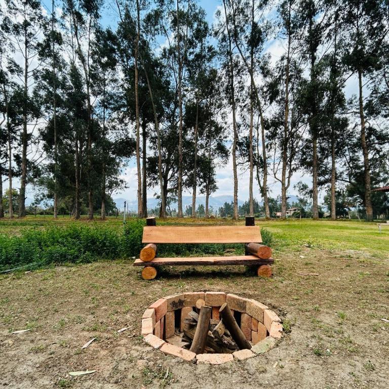Alojamiento en Cajamarca Cabañas a 10 min del centro - Casa de 2 dormitorios - 20