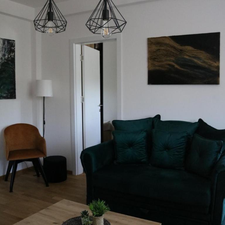 Aria Apartman Sokobanja - One-Bedroom Apartment - 8