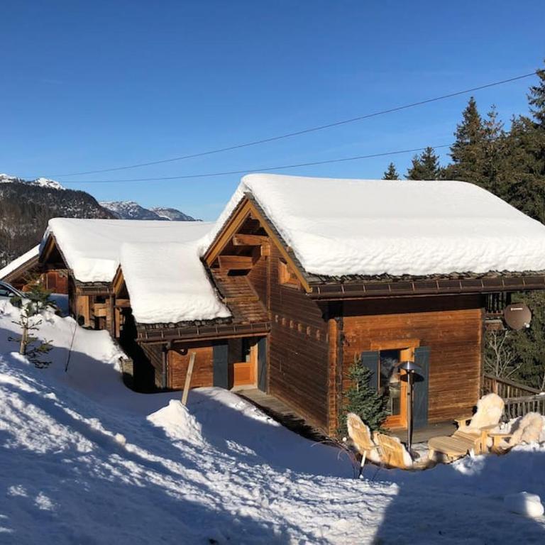 Chalet de l'Ours, 4 étoiles, avec spa et proche des pistes - Chalet - 40