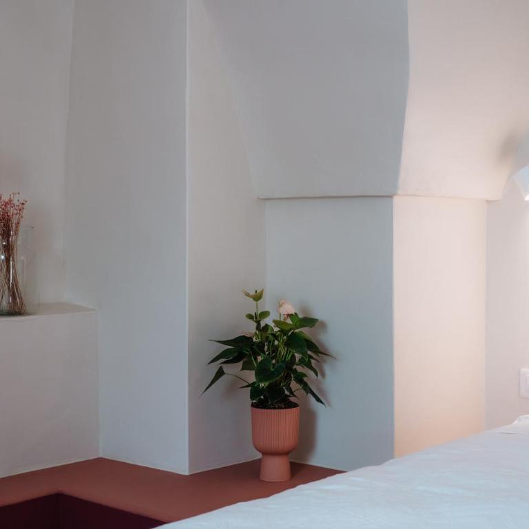 OZIO - Il trullo rosso - Camera Matrimoniale Deluxe con Vasca - 16