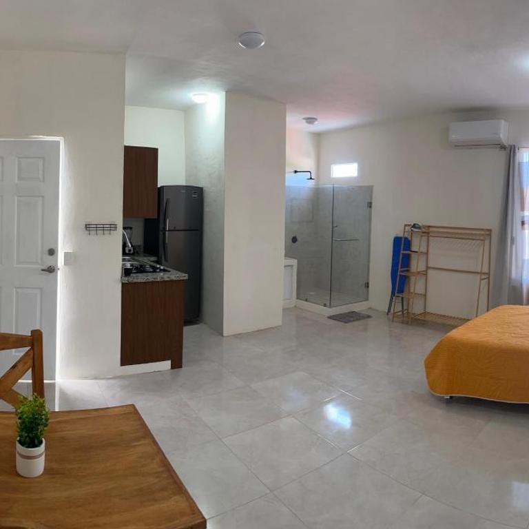 Estudios JINI - One-Bedroom Apartment - 1
