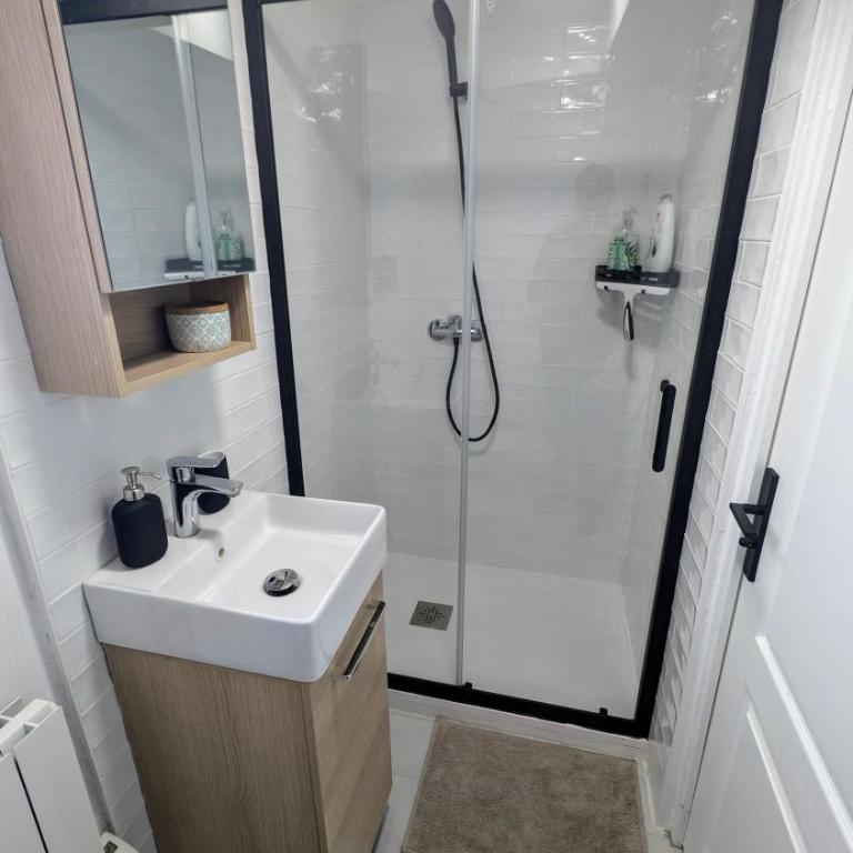 grand studio indépendant - One-Bedroom Apartment - 8