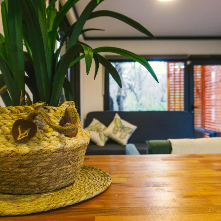 Tiny & Big House Suite Los Mallines de Malalcahuello - Superior Chalet - 61
