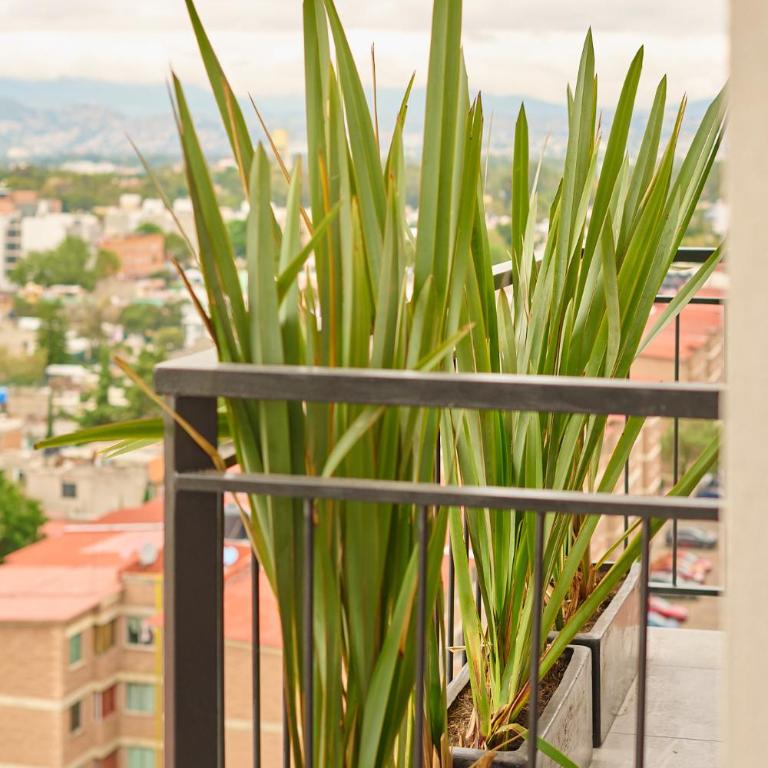Santa Inés Depto CDMX - Two-Bedroom Apartment - 26