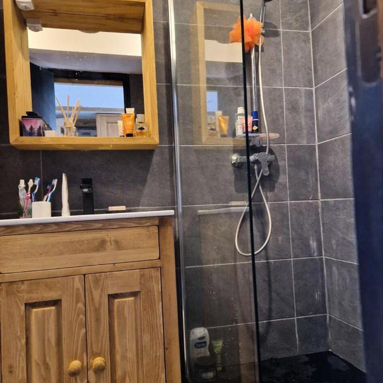 Résidence Grizzli - Magnifique T2 6 couchages au centre de VARS MAE-0121 - Apartamento - 9
