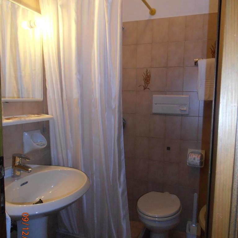Hotel Alle Alpi - Camera Matrimoniale/Doppia con Letti Singoli con Balcone - 4