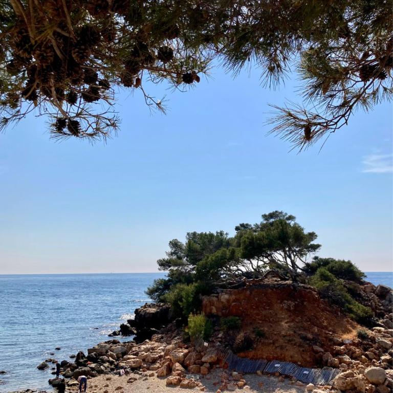 Mon cocon au cœur du village et des plages - One-Bedroom Apartment - 42