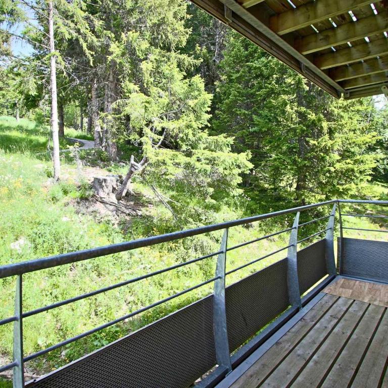 Appartement 5 couchages avec terrasse et animaux admis à Chamrousse - FR-1-549-142 - Appartement - 11