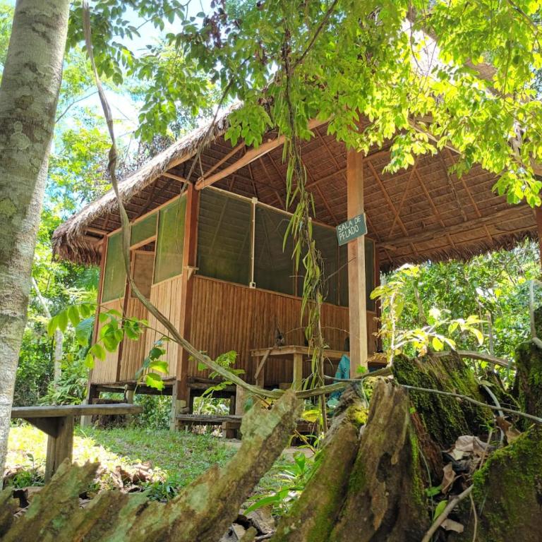 Castaña Amazon Park - Single Room with Private Bathroom - 3