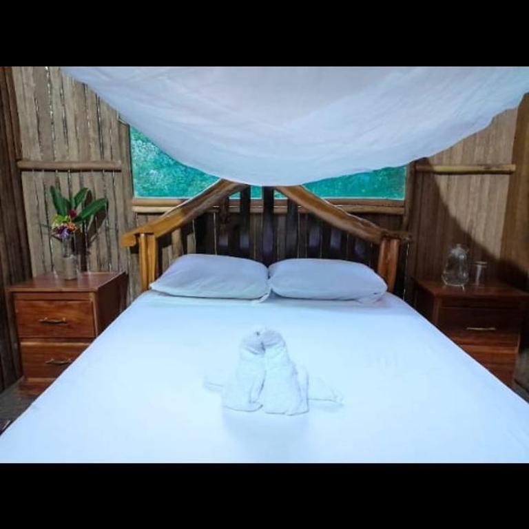 Castaña Amazon Park - Single Room with Private Bathroom - 4