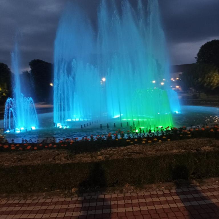 Apartman Simić Banja Koviljača - Apartman sa 1 Spavaćom Sobom - 25
