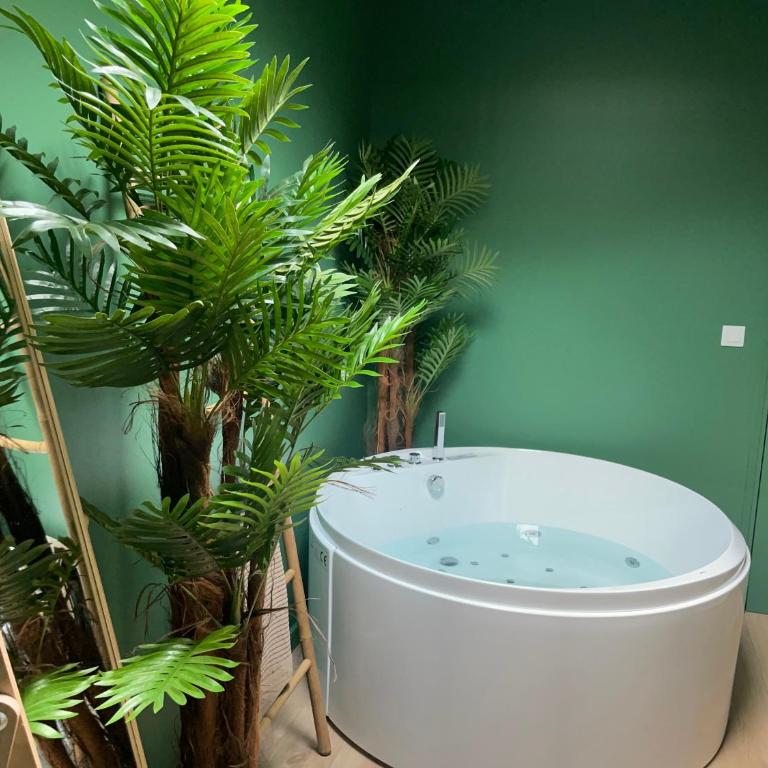 Évasion exotique - Suite Selva - Jaccuzzi privatif - Appartement 1 Chambre - 5
