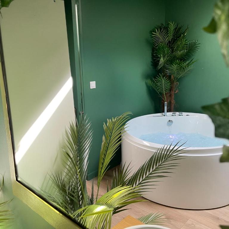Évasion exotique - Suite Selva - Jaccuzzi privatif - Appartement 1 Chambre - 1