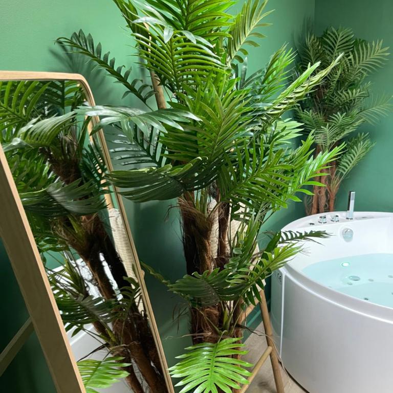 Évasion exotique - Suite Selva - Jaccuzzi privatif - Appartement 1 Chambre - 7