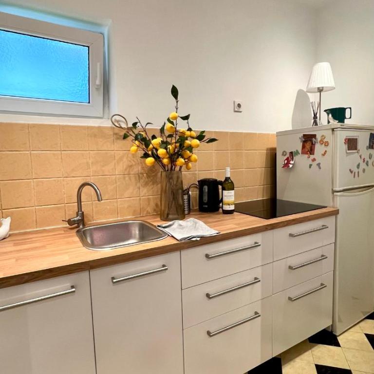 Art Apartment near Tashmajdan - Apartman sa 1 Spavaćom Sobom - 7