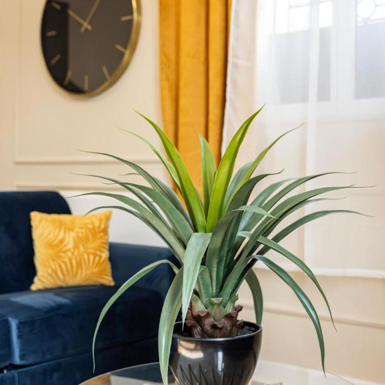 Suite de Prestige le Diamant - 55m2 - One-Bedroom Apartment - 23