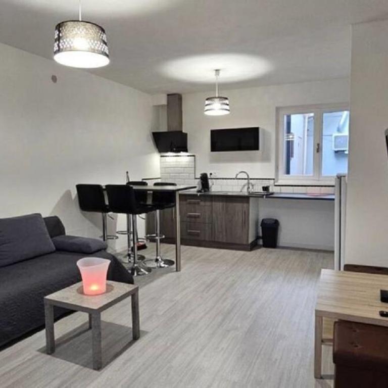 Appartement cosy avec patio en RDC - Apartment mit Terrasse - 10