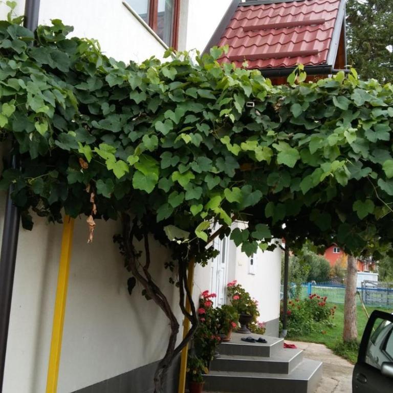 Kuća - Kuća sa 2 Spavaće Sobe - 5