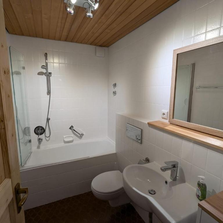 Ferienwohnung Alpenhorn in Bolsterlang Sommerbergbahn kostenlos - Apartment mit 1 Schlafzimmer und Balkon - 14
