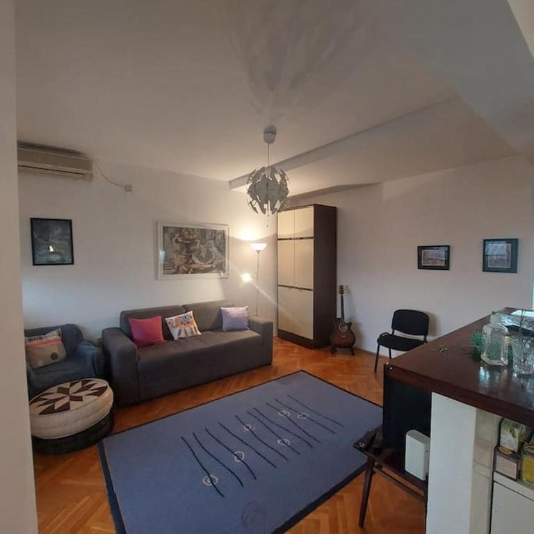 Quiet and comfortable apartment city centre area - Apartman sa 1 Spavaćom Sobom - 7