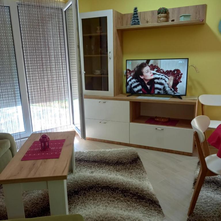 Divčibare apartmani Gavrić - Studio Apartment - 10