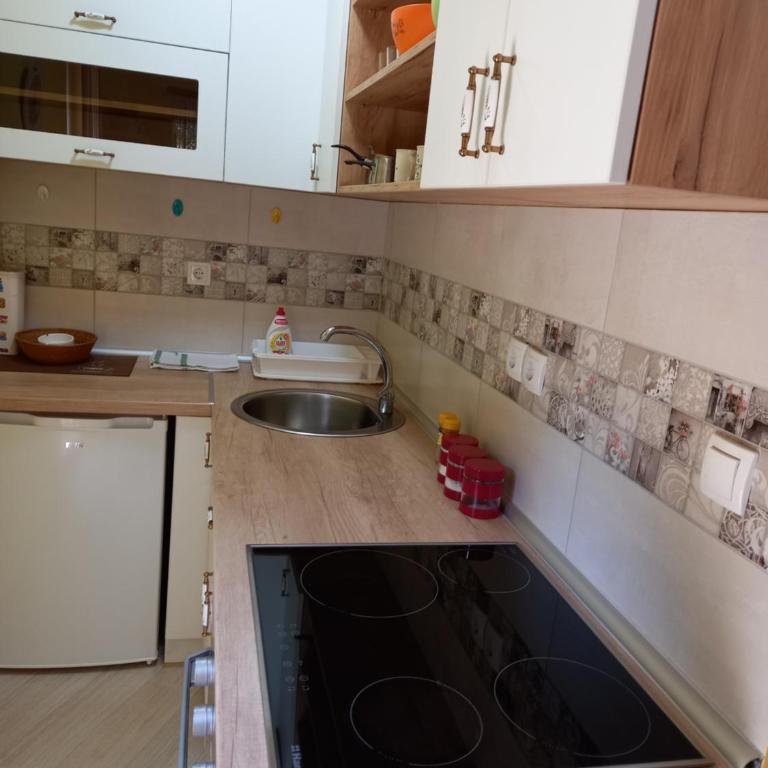 Divčibare apartmani Gavrić - Studio Apartment - 9