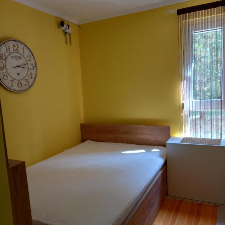 Divčibare apartmani Gavrić - Studio Apartment - 6