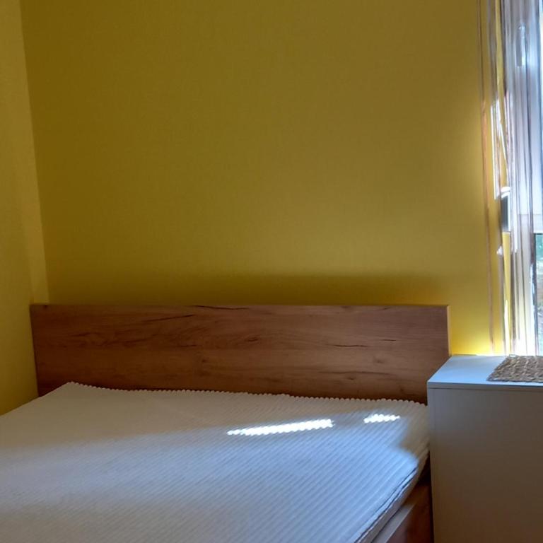 Divčibare apartmani Gavrić - Studio Apartment - 5