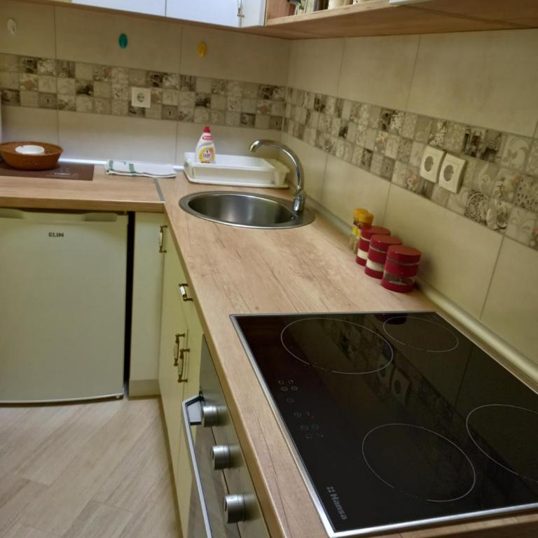 Divčibare apartmani Gavrić - Studio Apartment - 2
