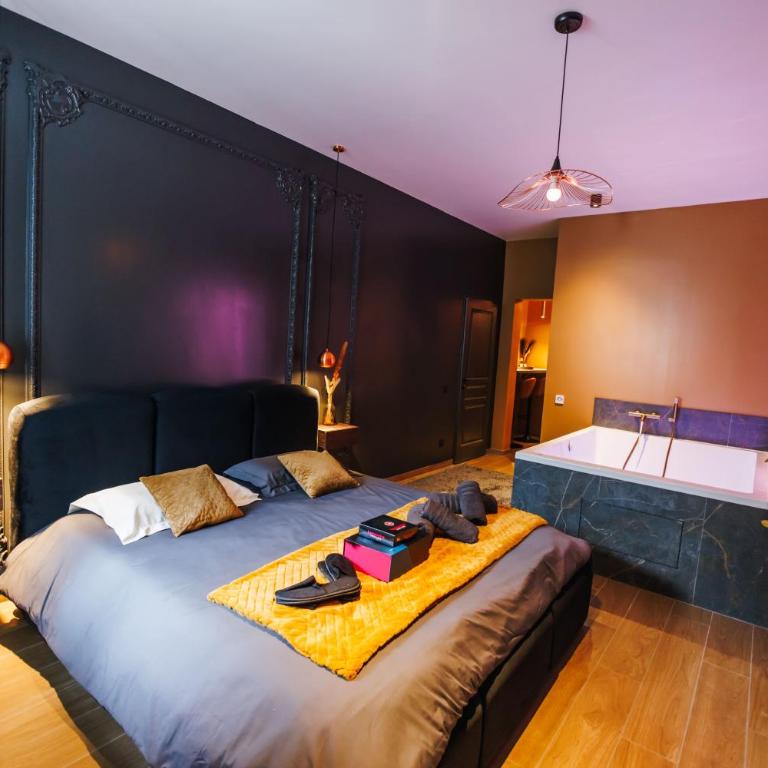 Dreamy Room - Evasion, balnéo & cinéma privé - Appartement 1 Chambre - 18