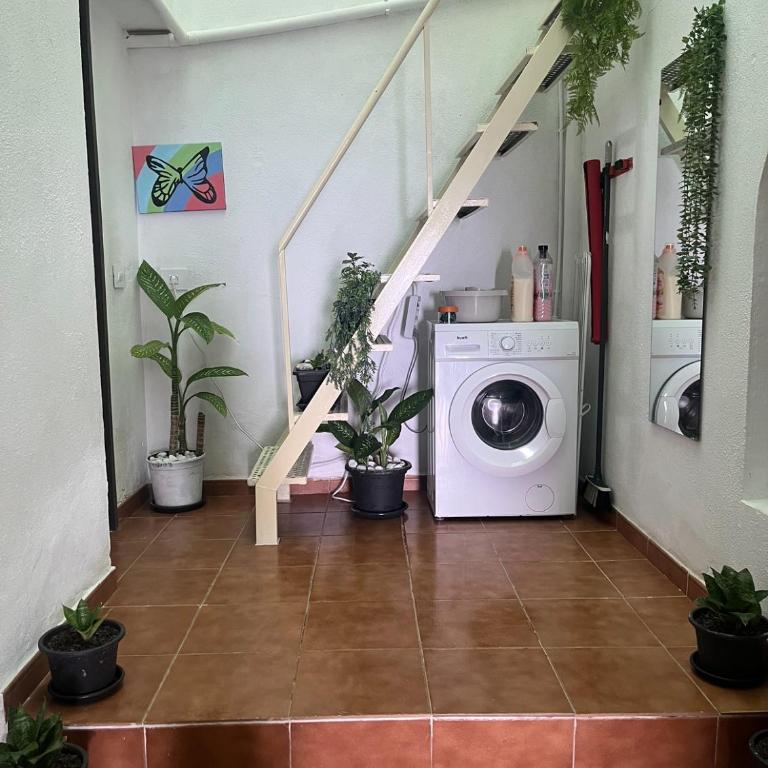 Apartamento en Adeje Sur - One-Bedroom House - 24