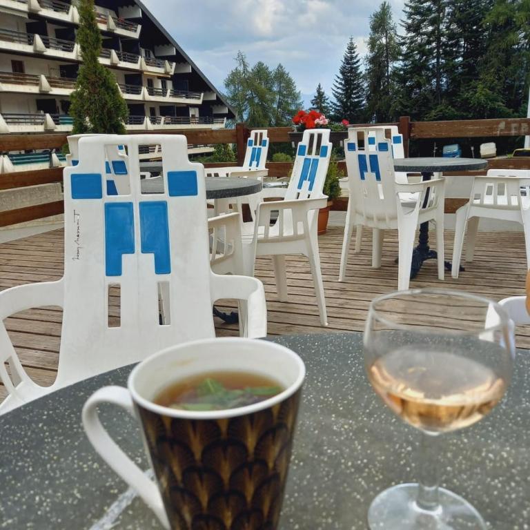 Charmant 1.5 pièce à la montagne - Apartment mit 1 Schlafzimmer - 7