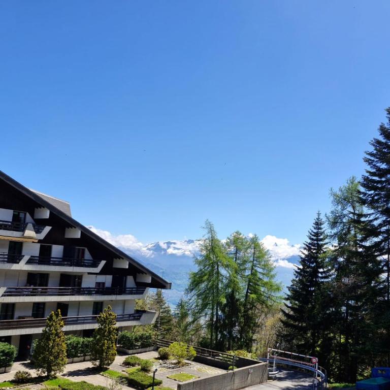 Charmant 1.5 pièce à la montagne - Apartment mit 1 Schlafzimmer - 9