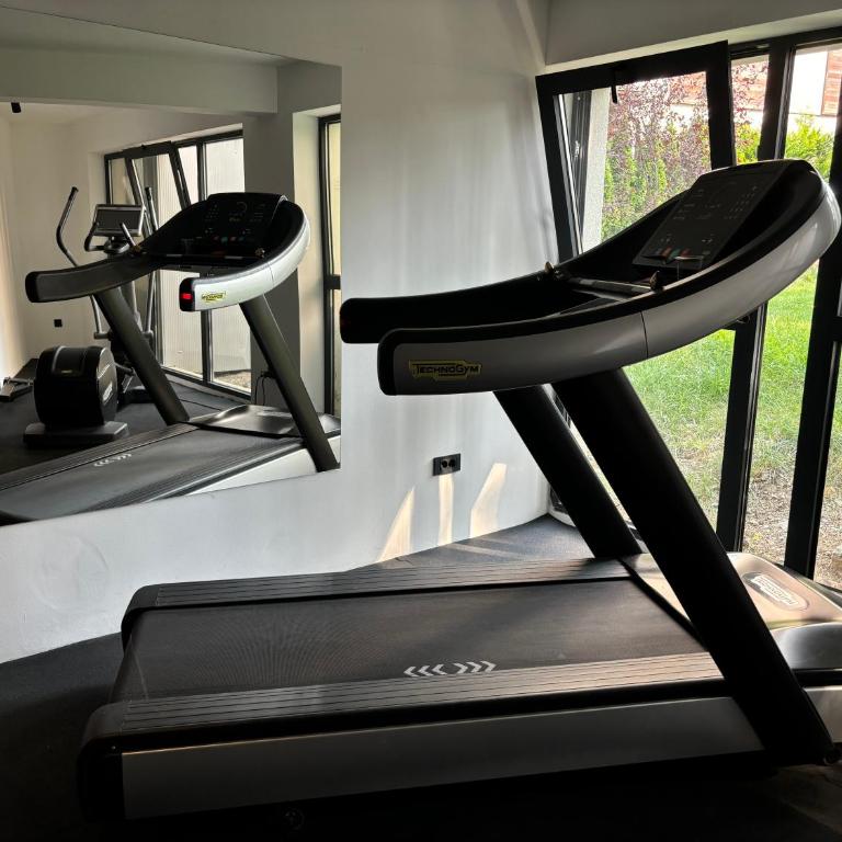 Zlatibor Wayout, Spa & Wellness - Apartman sa 1 Spavaćom Sobom - 38