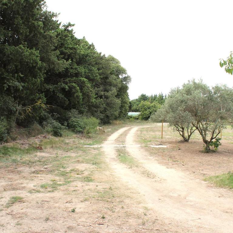 Le Petit Saint Trophime - Mobile Home - 15