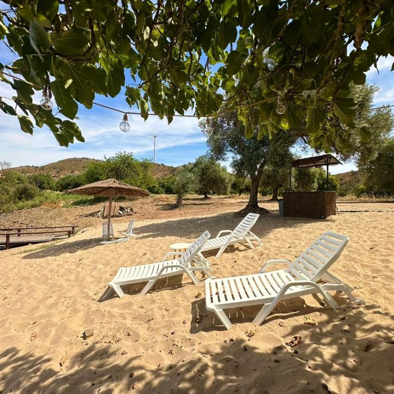 Magnífica casa a orillas del guadiana - Casa de 3 dormitorios - 4