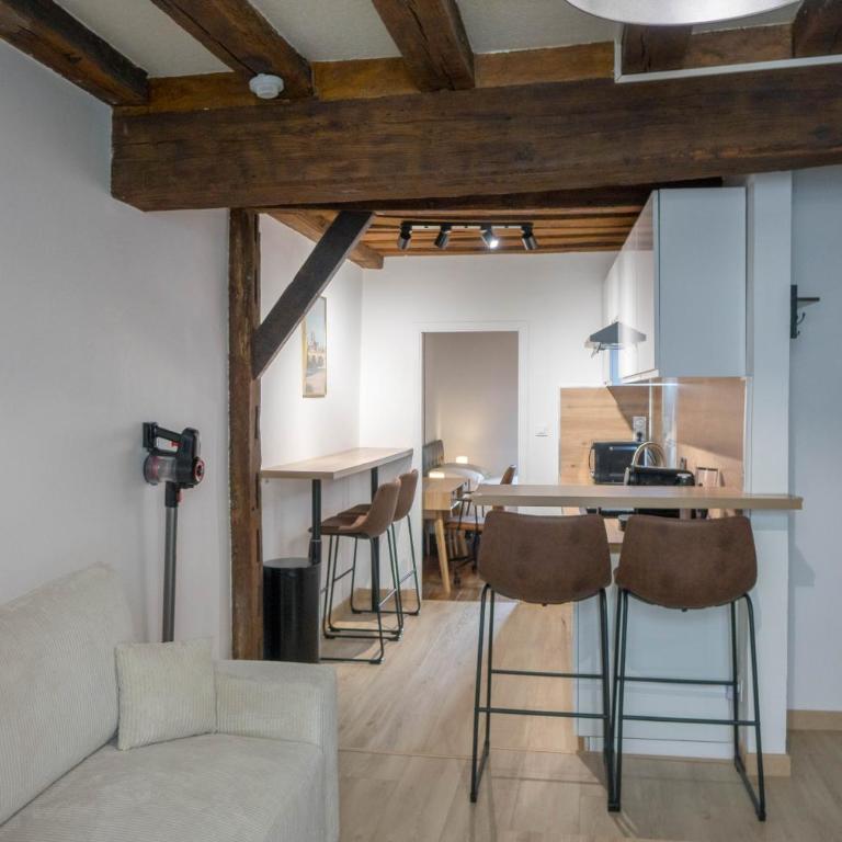 ORLEANS CENTRE HISTORIQUE - Charmant T2 - L'EVASION ORLEANAISE - Appartement 1 Chambre - 14