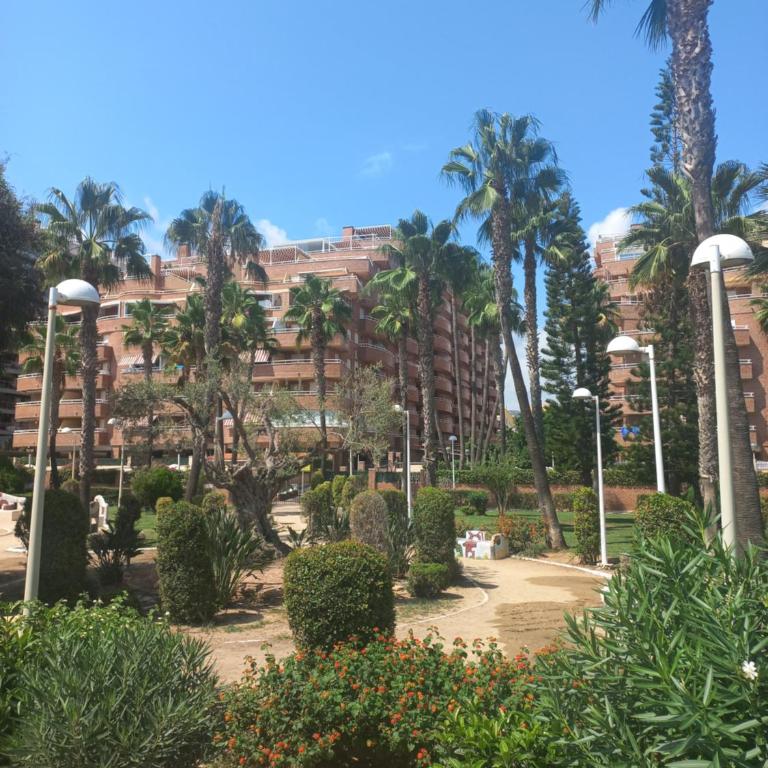 Marina dort Acapulco I primera línea de playa - Apartamento de 2 dormitorios - 7