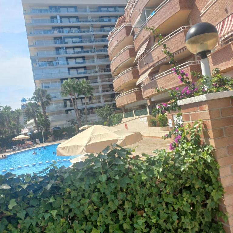 Marina dort Acapulco I primera línea de playa - Apartamento de 2 dormitorios - 15