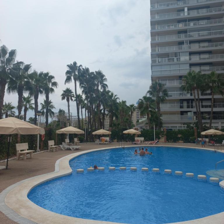 Marina dort Acapulco I primera línea de playa - Apartamento de 2 dormitorios - 1