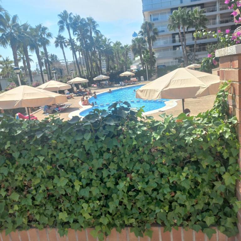 Marina dort Acapulco I primera línea de playa - Apartamento de 2 dormitorios - 20