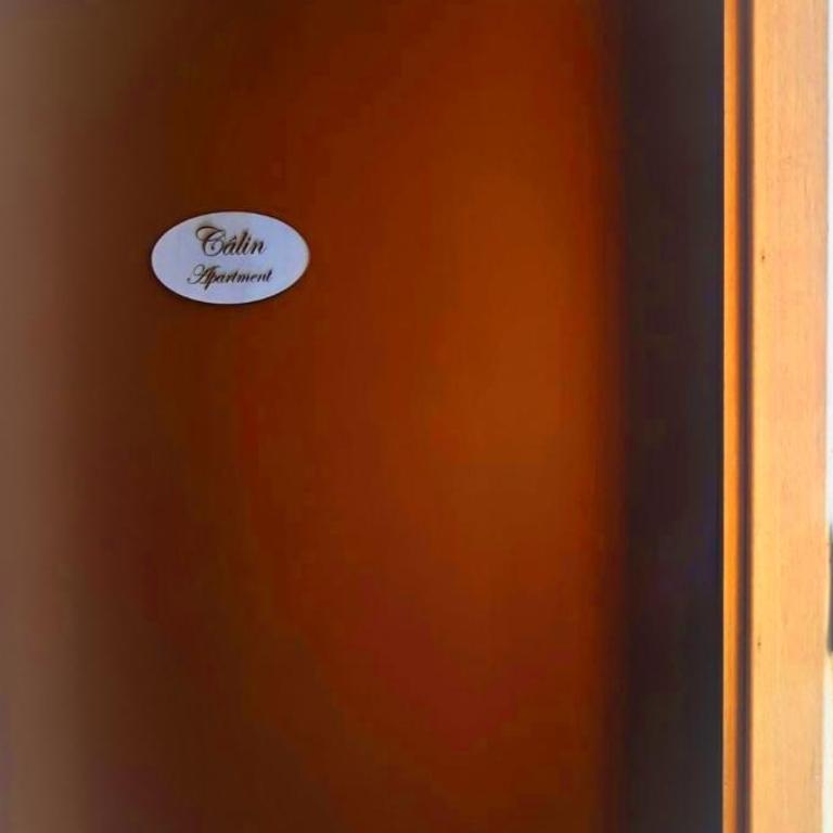 Calin Apartment - Appartamento con 1 Camera da Letto - 25