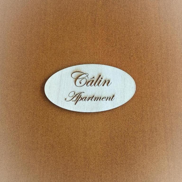 Calin Apartment - Appartamento con 1 Camera da Letto - 23