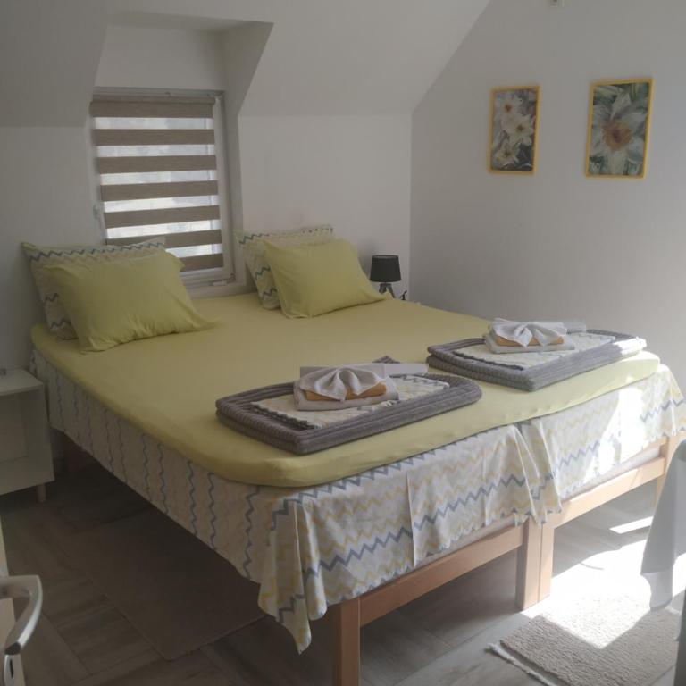 Vila Danida - Double Room with Terrace - 2